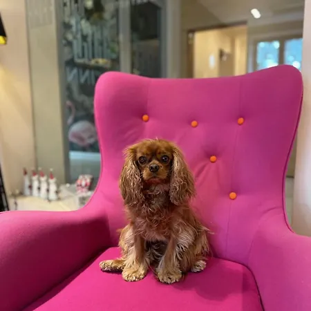 Liv'inn Apart-hotel Cracóvia