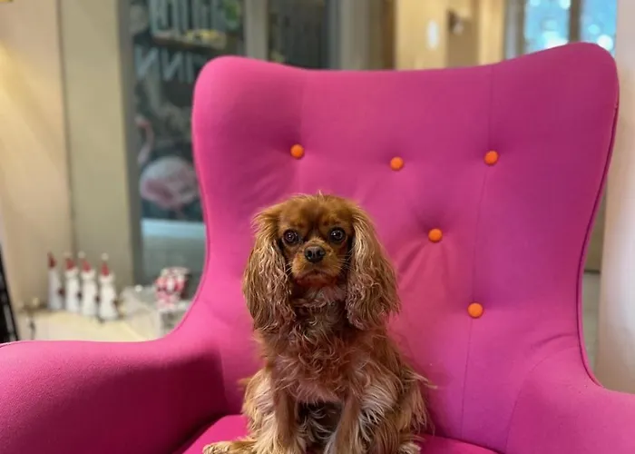 Liv'inn Apartahotel Cracovia